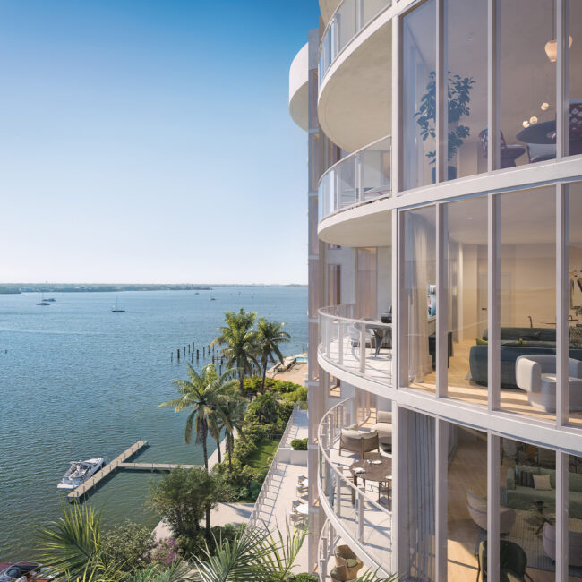 Hummingbird Amara Web